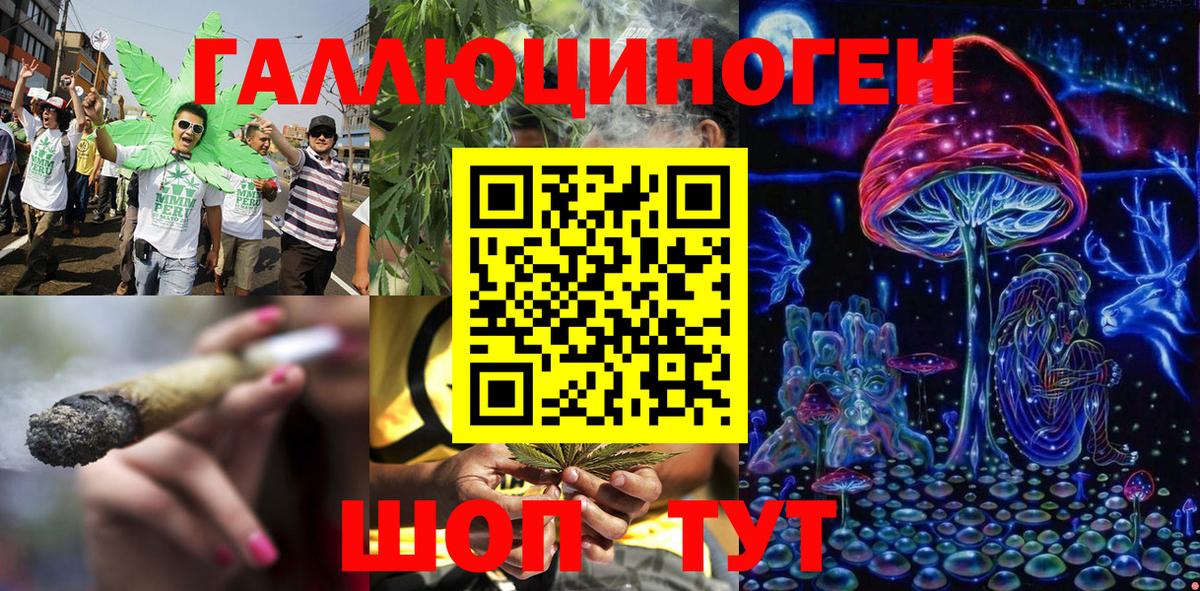 Галлюциногенные грибы Psilocybe  Галлюциногенные грибы прущие грибы  Вход с VPN  Павловский Посад 